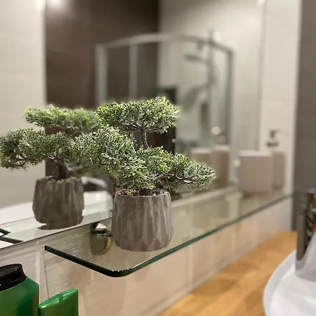 公寓 Old Town Modern