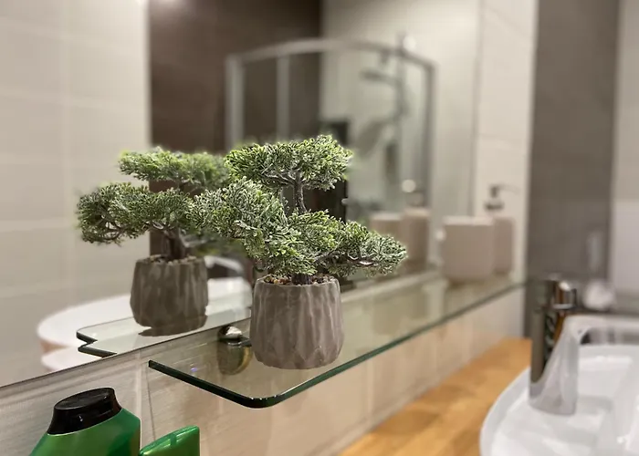 Apartment Old Town Modern